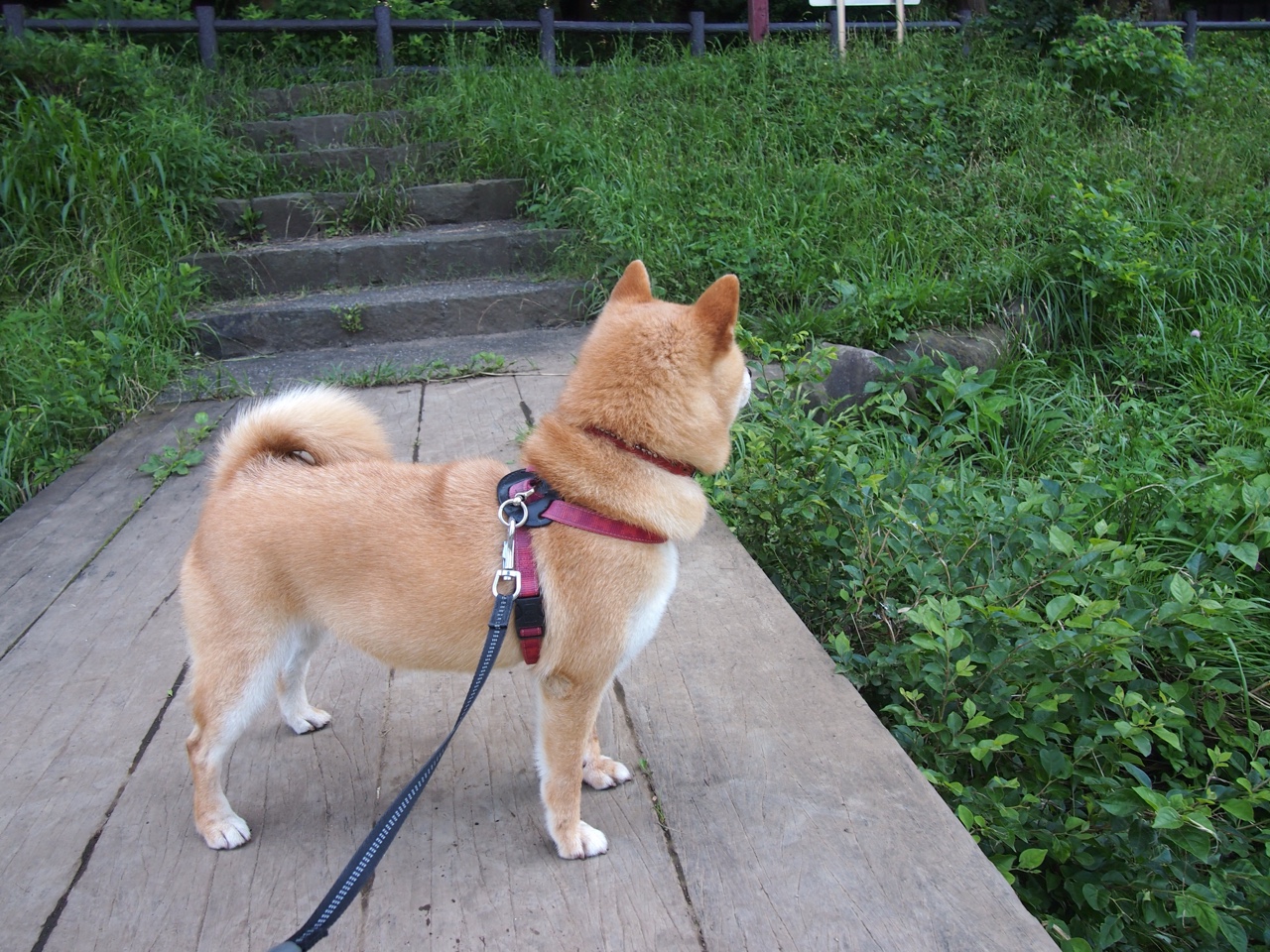 利物浦在夏窗引进多名年轻球员,注重未来发展,利物浦ywna