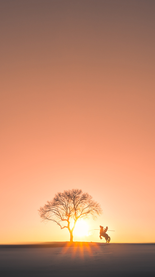 NBA球员体能管理与赛季疲劳调控,nba的体能训练