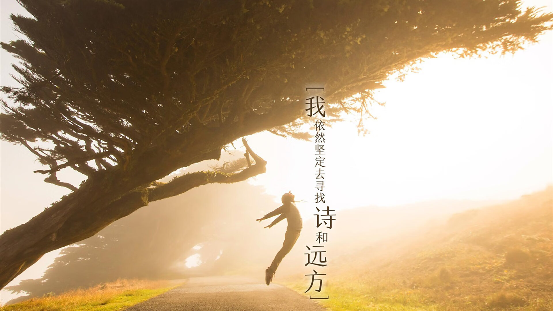 中超球队赛事状态波动预测模型,中超联赛分析