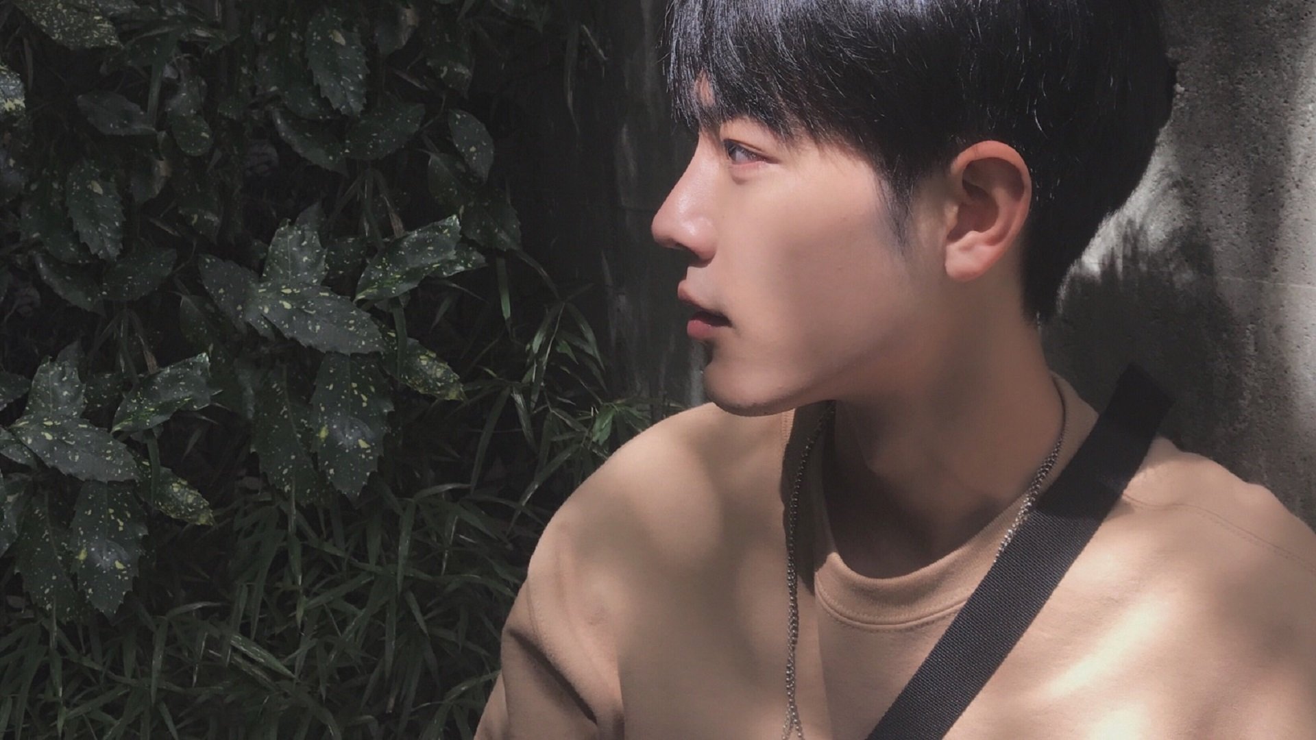 女子仰泳赛场再现澳洲风采,女子仰泳比赛视频