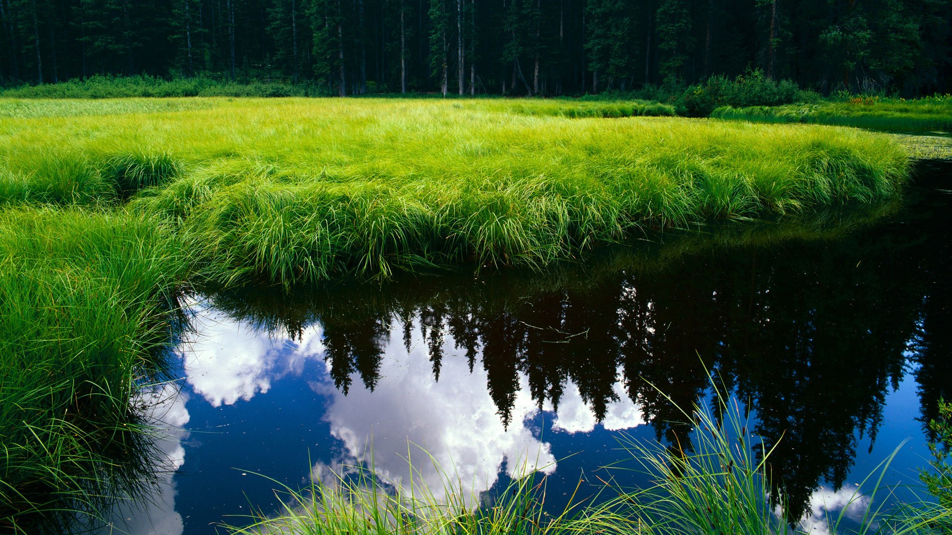年轻球员心态波动大心理训练不可忽视,球员倾向