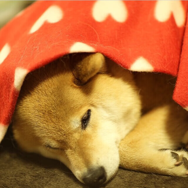 节奏比拼决定比赛走势的经典案例,节奏比拼决定比赛走势的经典案例有哪些