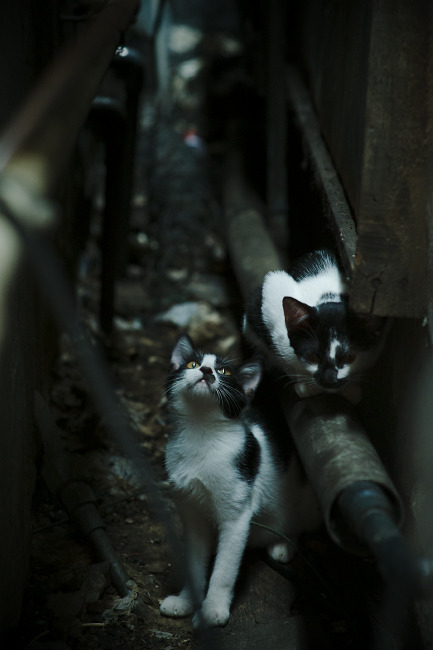 哈登助攻突破两不误快船持续高效进攻，哈登打快船数据