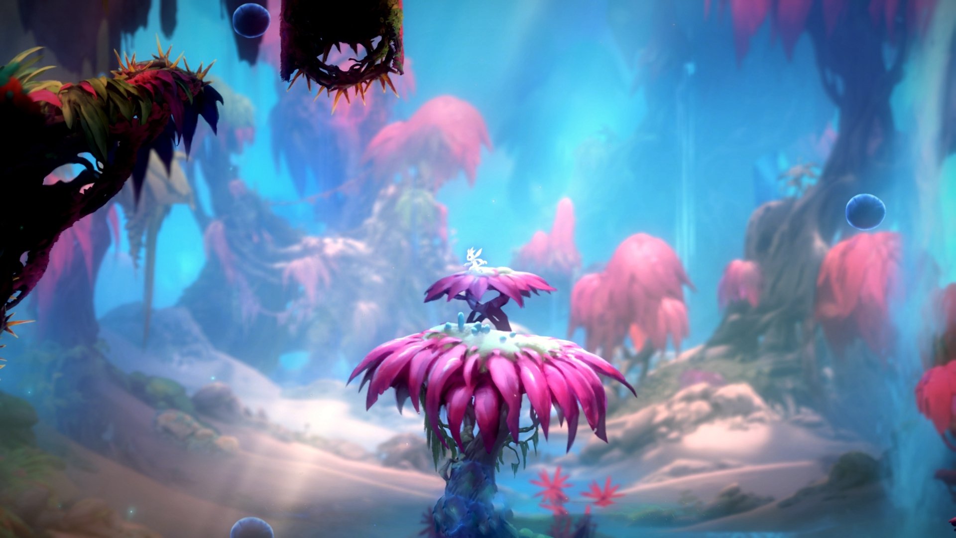 国际田径锦标赛选手表现抢眼,国际田径比赛最新规则