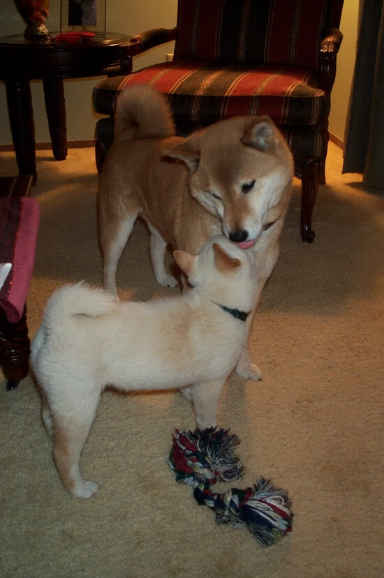 场地情况变化频繁队伍赛前适应训练安排更加灵活,比赛场地怎么形容