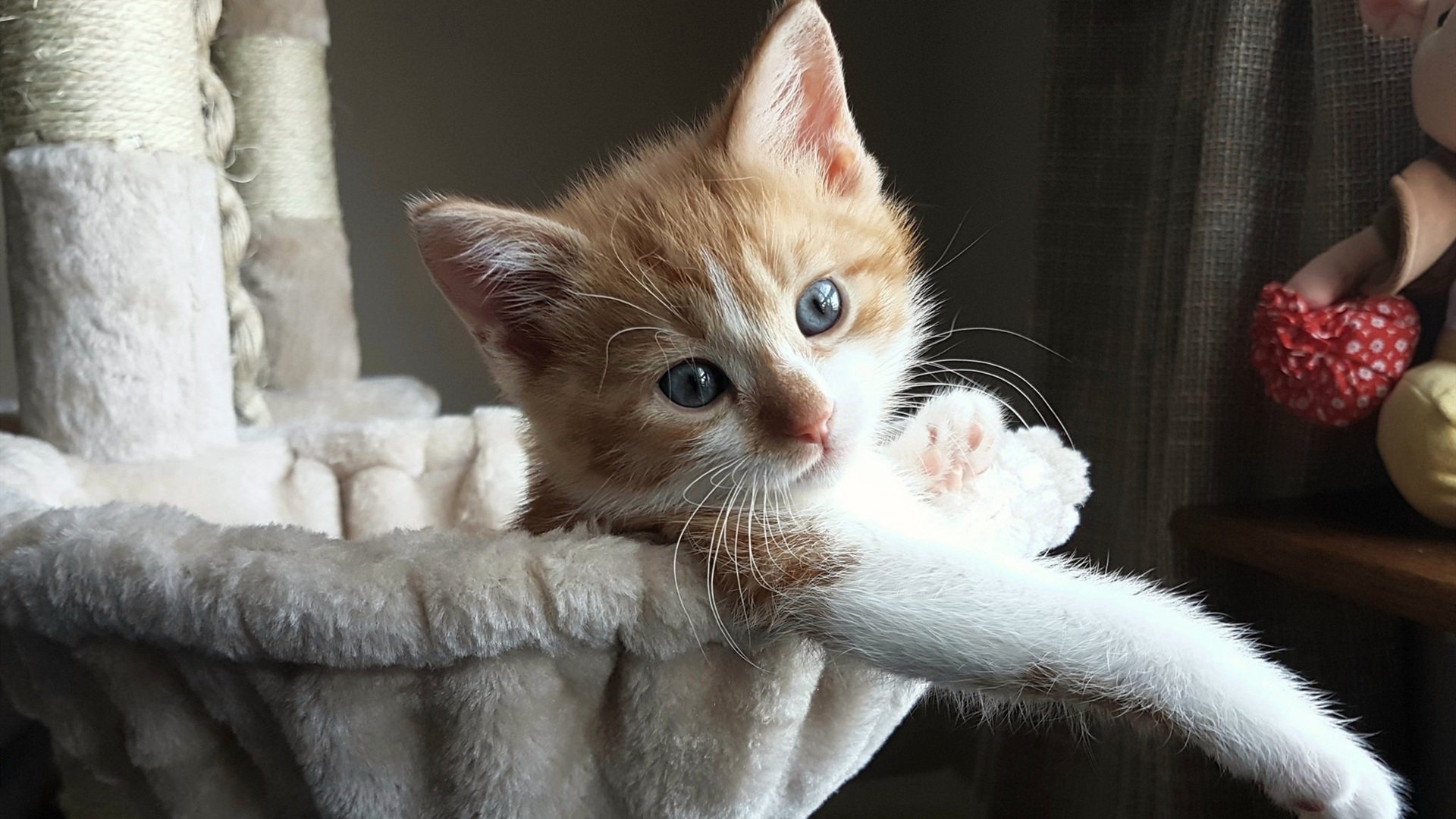 安东·李恩:凭借强大的比赛感觉,他总能在关键时刻做出正确选择