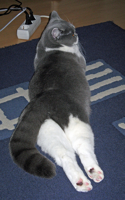 九游网游官网-广东宏远助球队拿下关键战CBA总决赛，cba广东宏远冠军