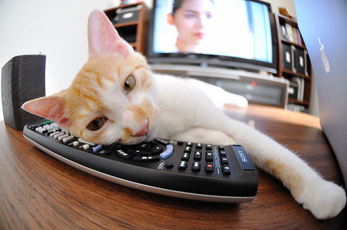 九游娱乐官网 (jiuyou)-德甲绝招：空中球保球技艺高超，接空中球技术