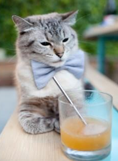 九游娱乐-林丹透露未来有意组建青训俱乐部，林丹主教练