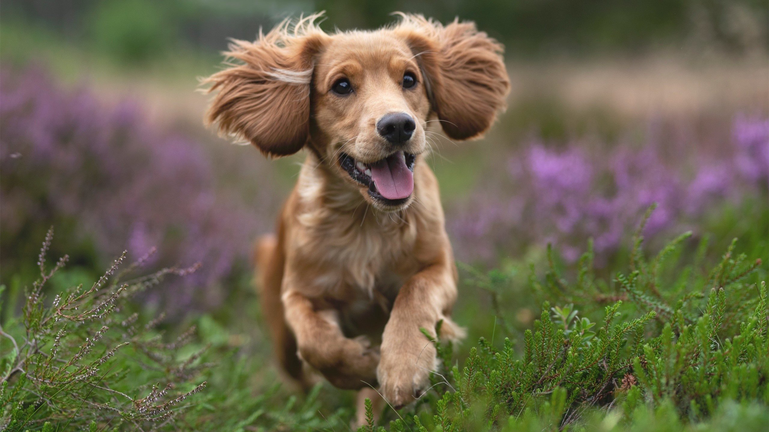 詹姆斯亲自参与战术板设计分析,詹姆斯站上技术台