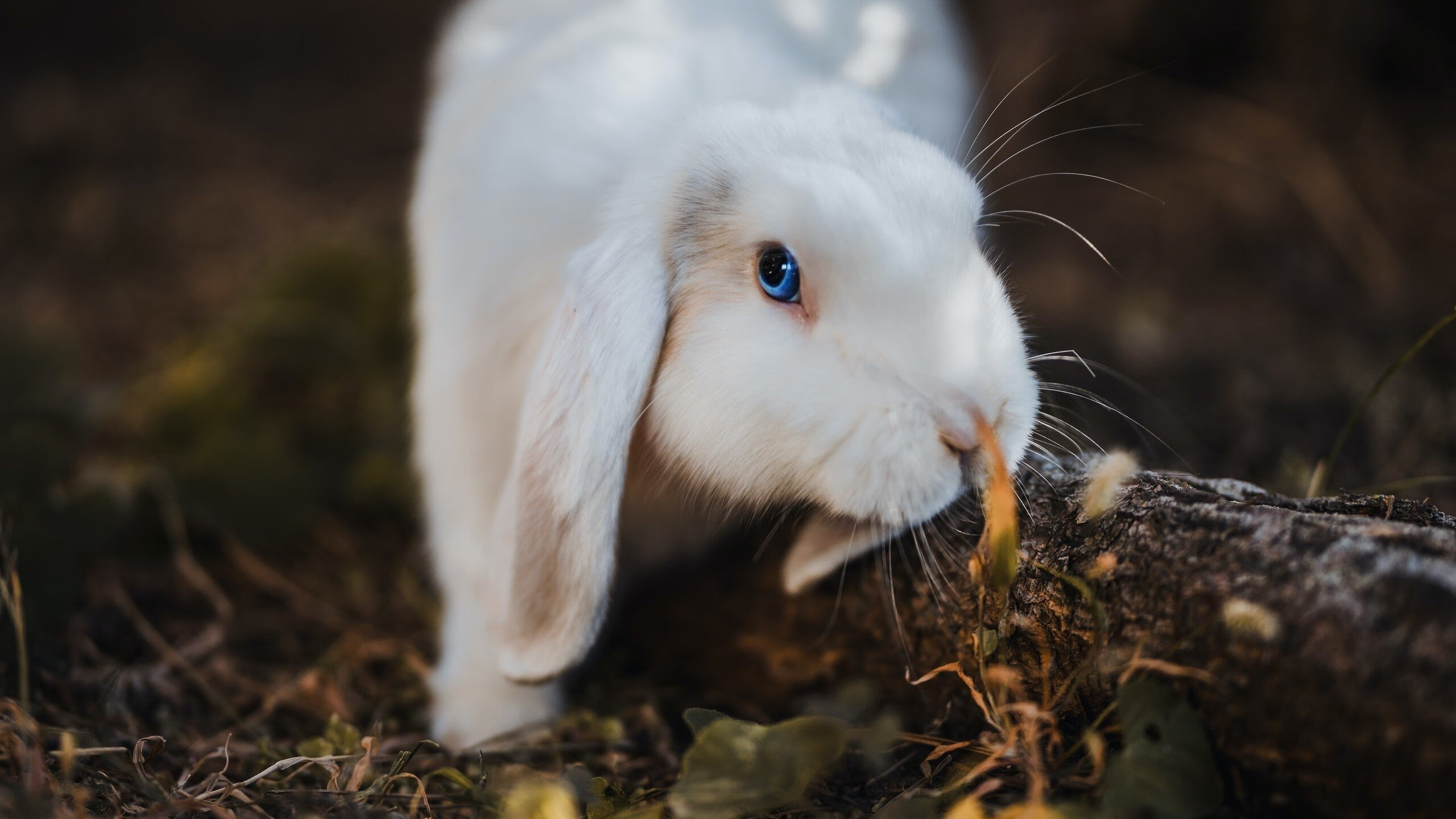青少年足球场地环境改善专项行动持续推进,优化训练条件,青少年校园足球