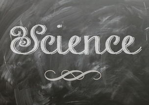 JiuyouAPP下载-麦考领袖风范：全黑队胜利的灵魂人物，麦考3个总冠军